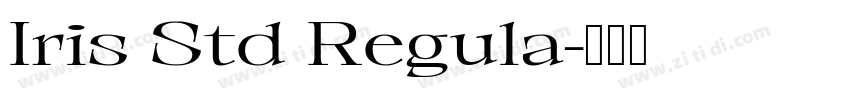 Iris Std Regula字体转换